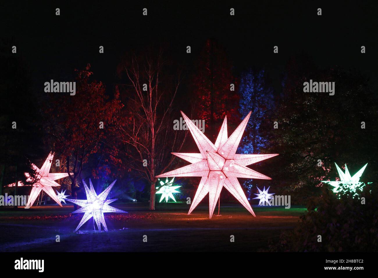 Seven Acres Lawn, Christmas Glow 2021, RHS Garden Wisley, Woking