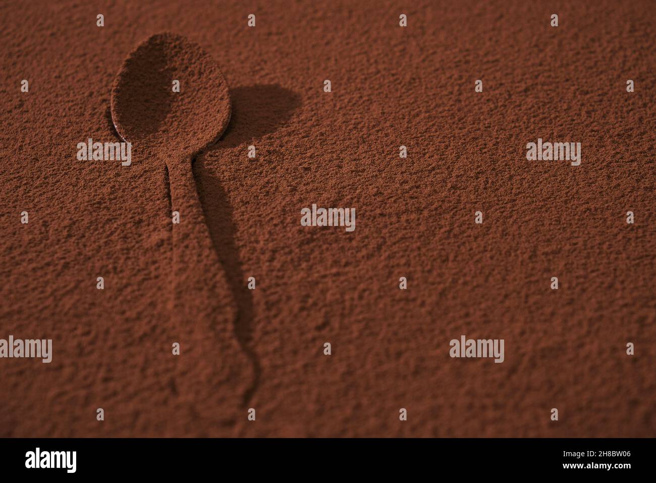 Tablespoon is completely covered with cocoa powder. Confectionery and