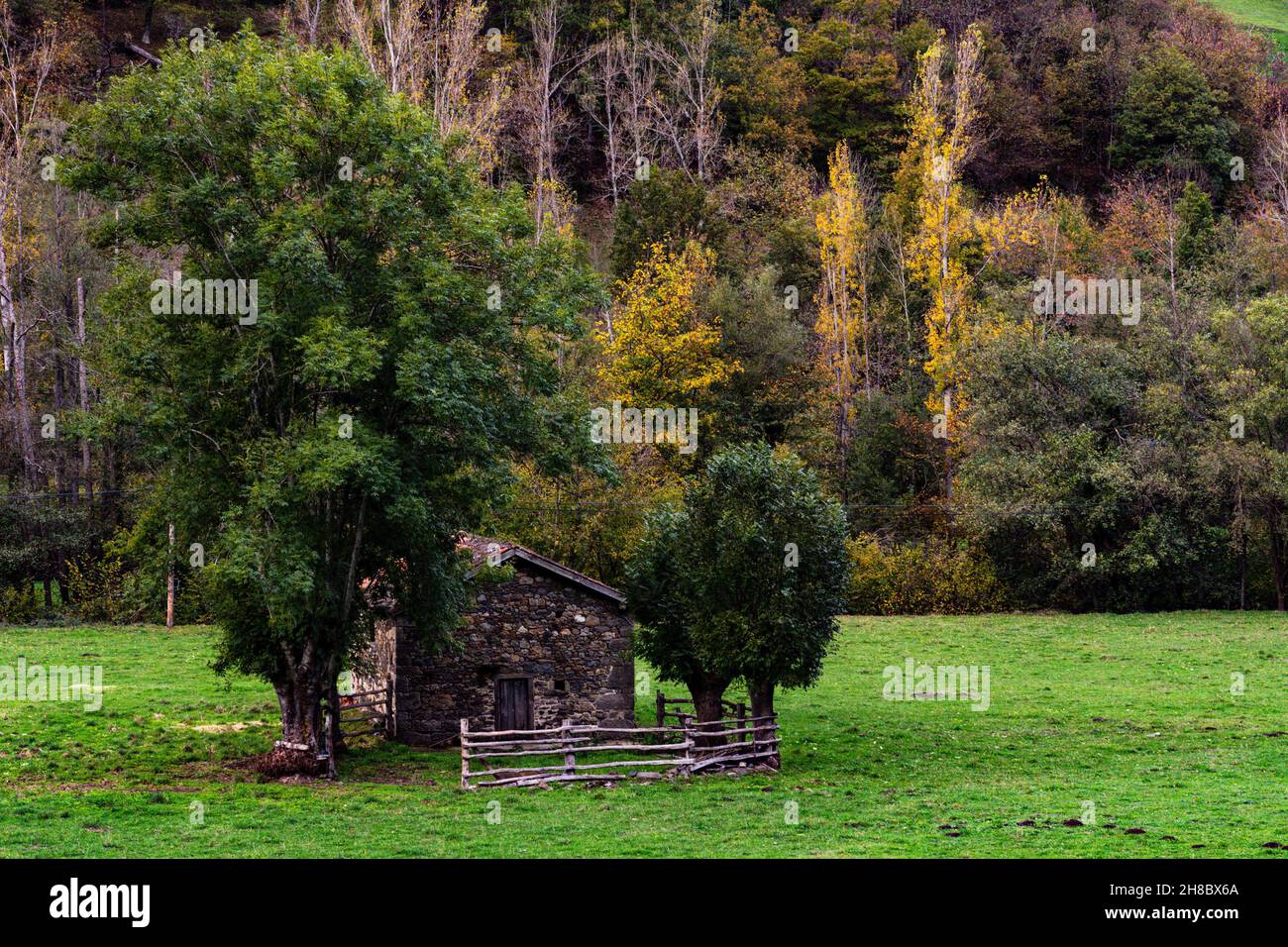 Stable and haystack - Both facilities are of great importance for ...