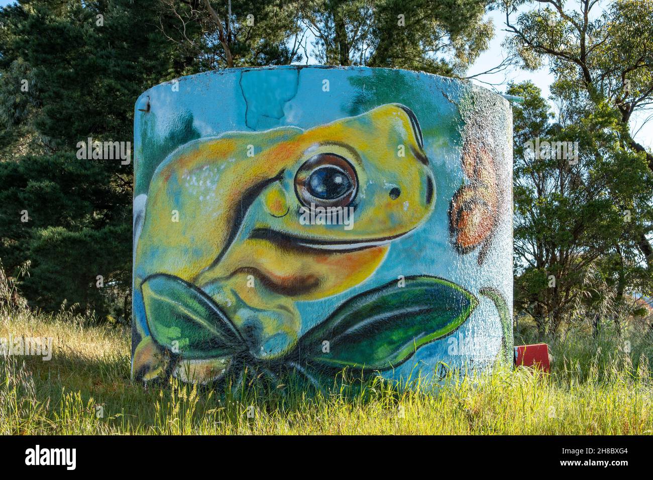 Painted Growling Frog on Water Tower, Eden Park, Victoria, Australia Stock Photo
