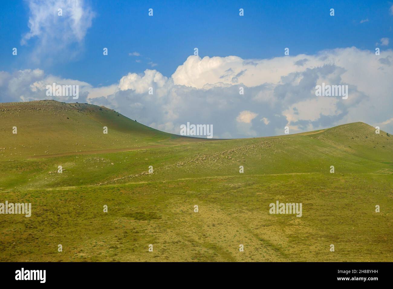 Scenic green hills, not yet burnt by the sun, against a blue cloudy sky. Shot in the Qashqadaryo region of Uzbekistan. Stock Photo