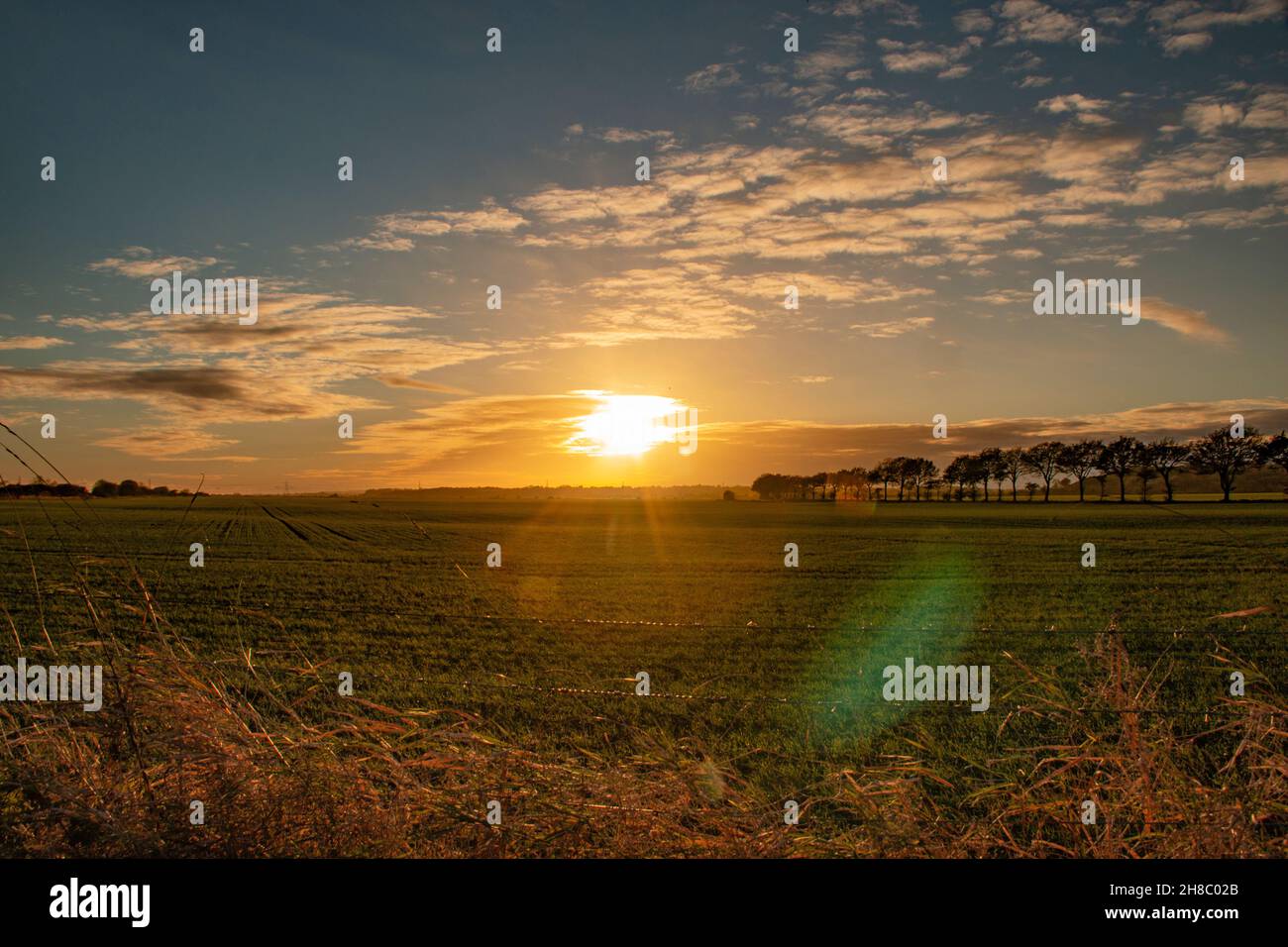 Beautiful farmland at sunset on the Walland marsh (part of Romney Marsh), at Fairfield, Kent, Great Britain Stock Photo