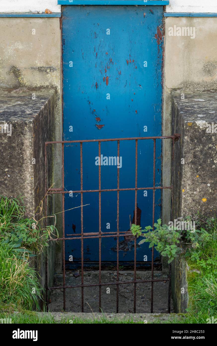 old iron gate and blue security door, rusty old garden gate and blue painted entrance door, back door or tradesman entrance to old fashioned property. Stock Photo