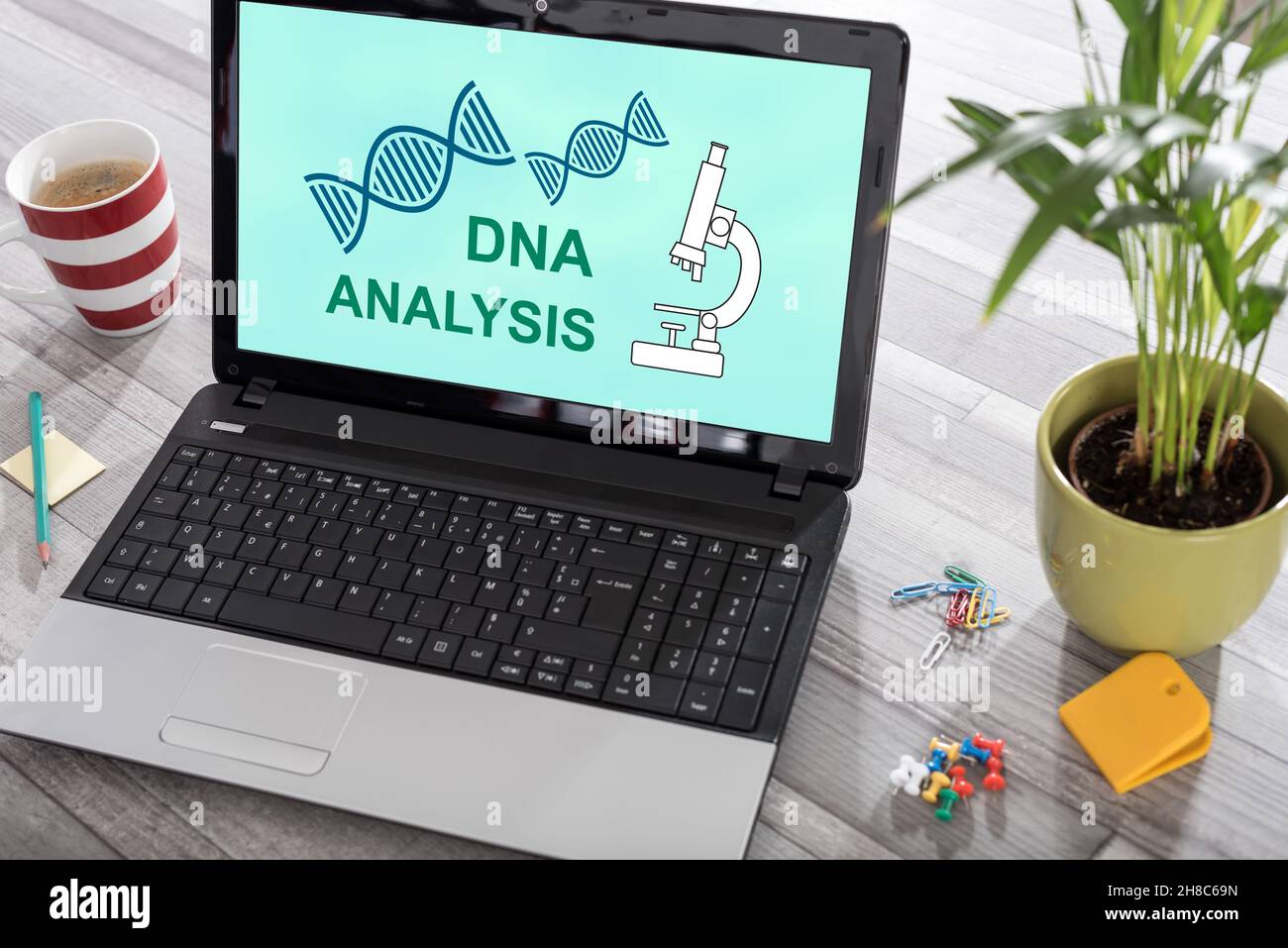 Dna analysis icon hi-res stock photography and images - Alamy
