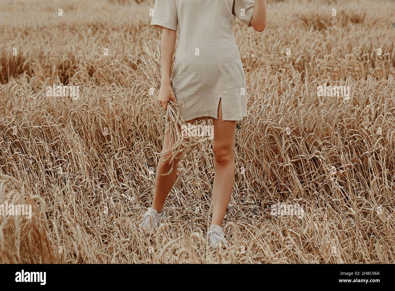 young woman stanyoung girl in a short beige dress stands in a field with wheat.ds in a field with wheat. Stock Photo