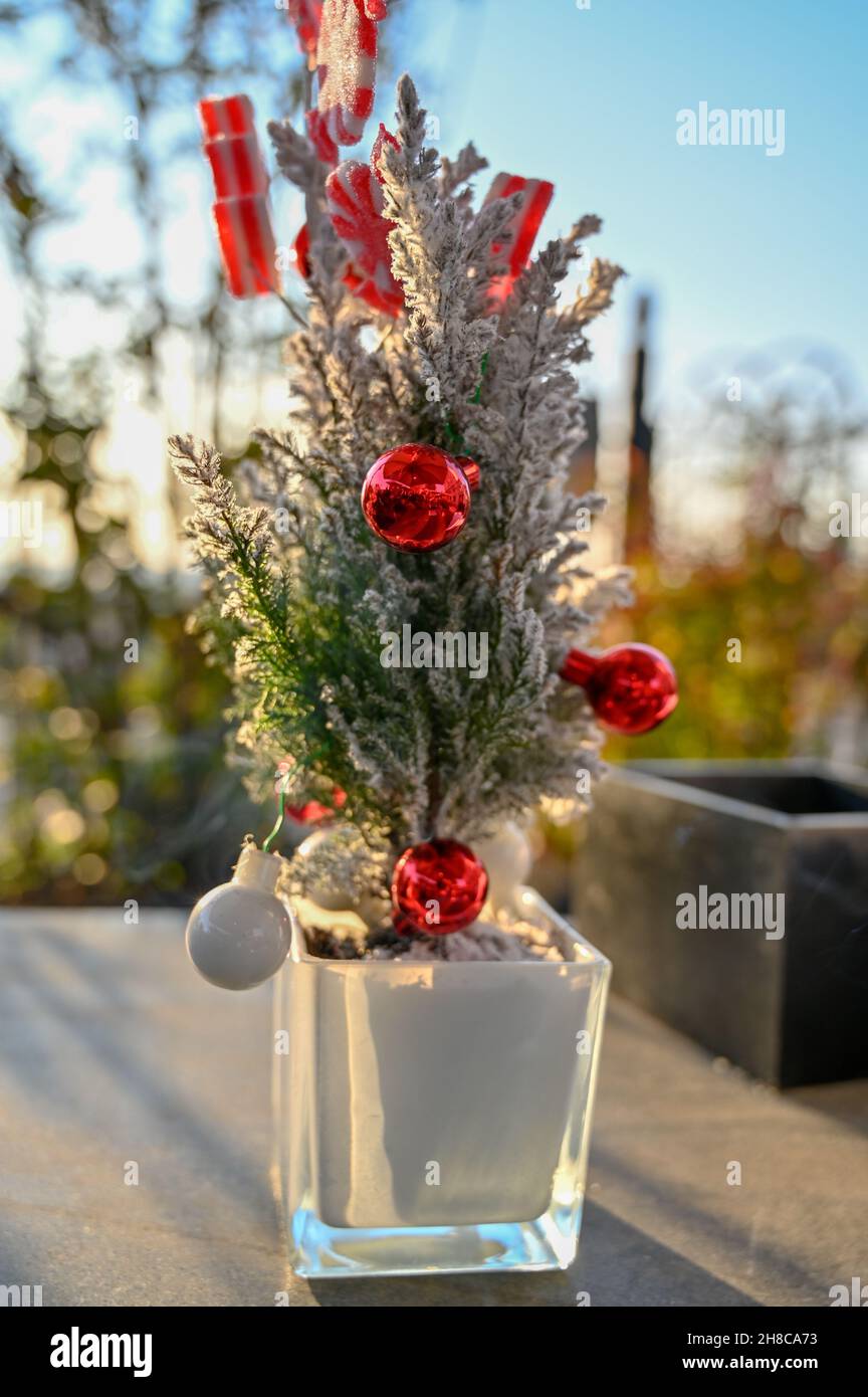 Christmas decorations on a table in the outdoor dining area are backlit