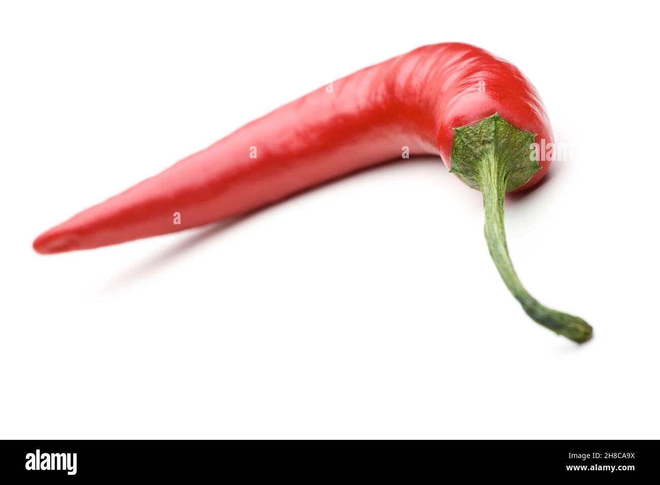 Single red chili pepper lying on white background Stock Photo