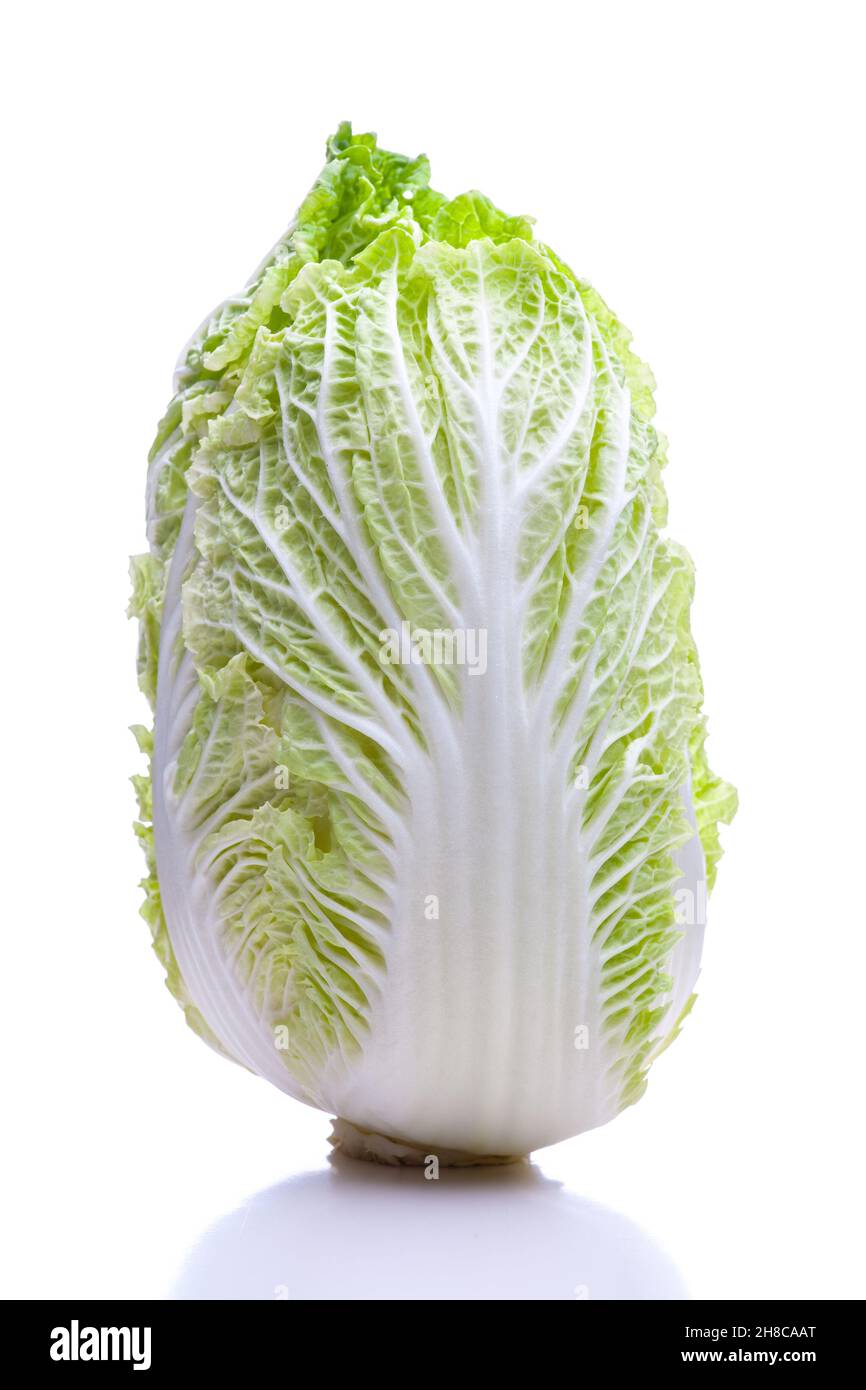 Standing Chinese cabbage from the front on a white background Stock Photo