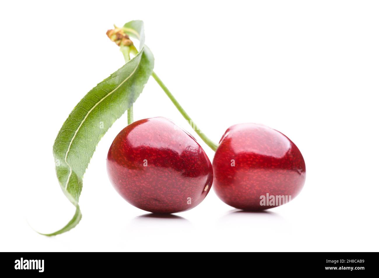 Two red cherries with stalk and leaf isolated on white background Stock Photo
