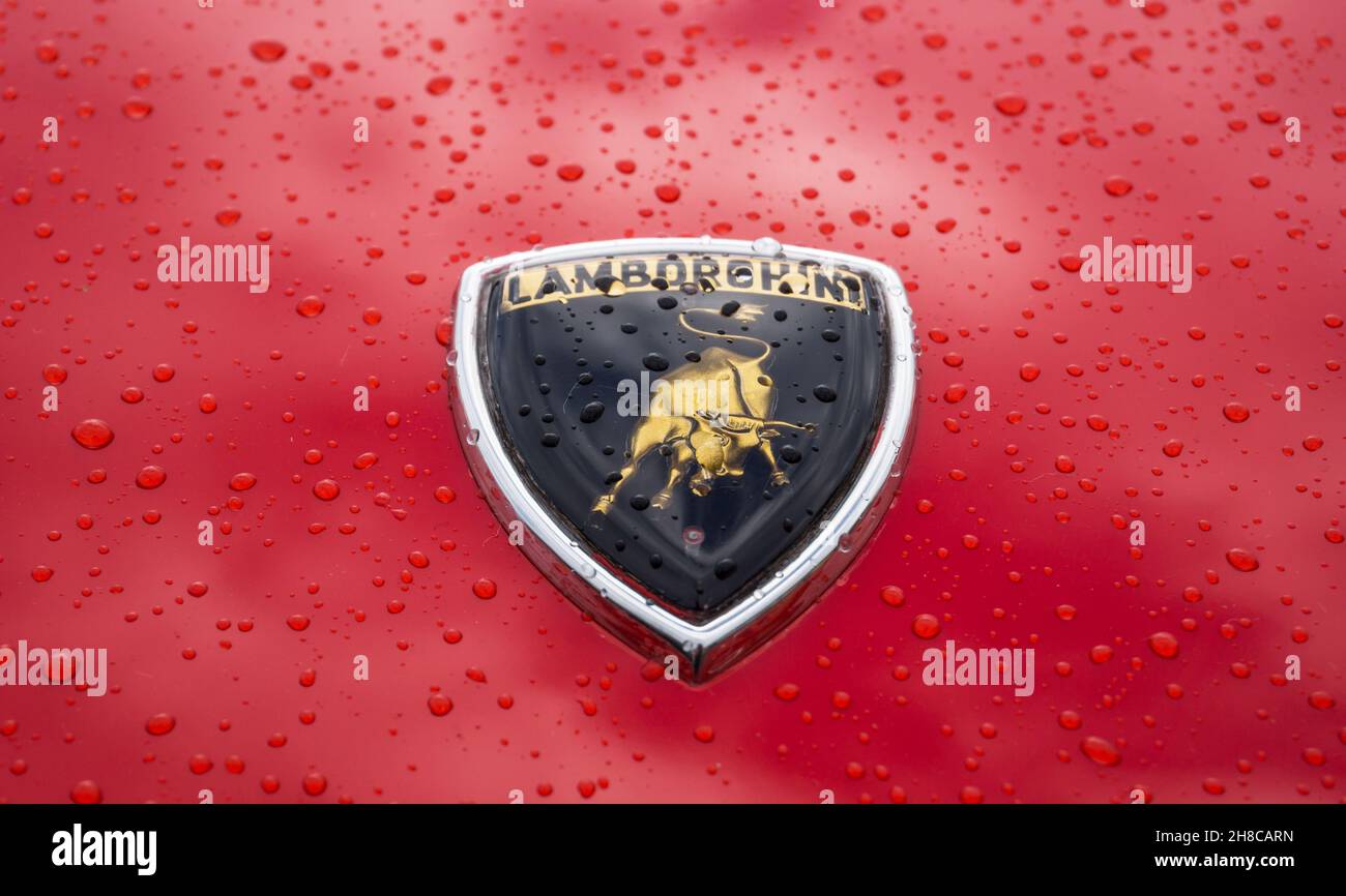 Car logo with bull outlet