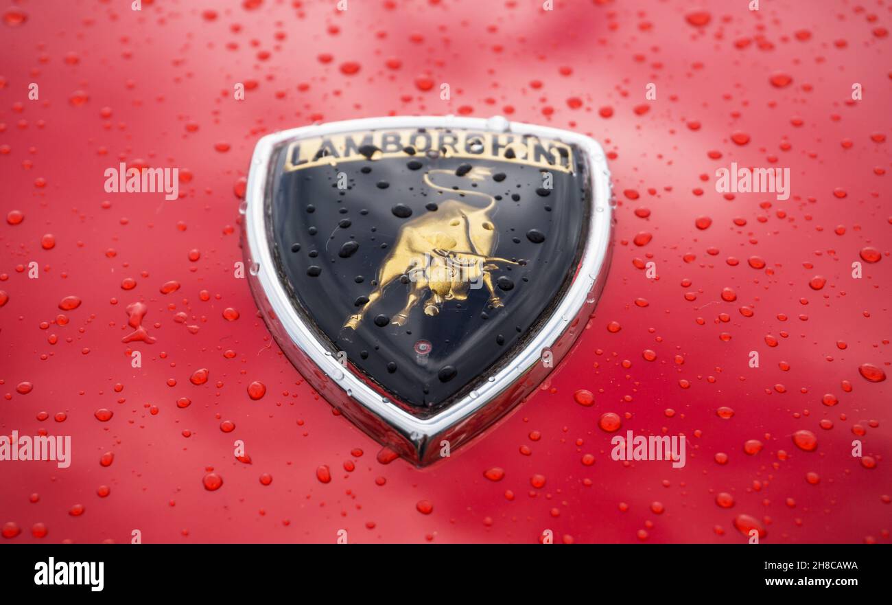 Close up detail of the charging bull logo emblem badge on a red