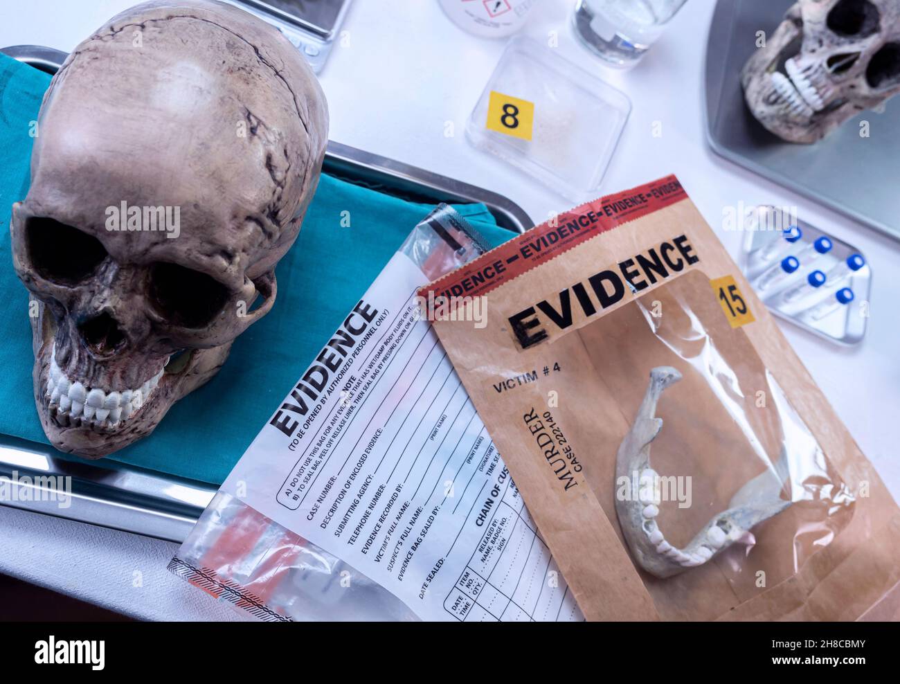 Human skull of a murdered adult in forensic lab, conceptual image Stock Photo