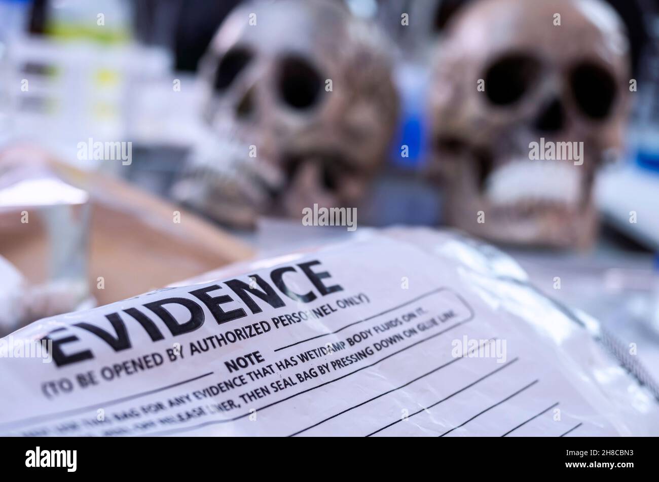 Several human skulls next to bag of evidence to determine DNA in forensic lab Stock Photo