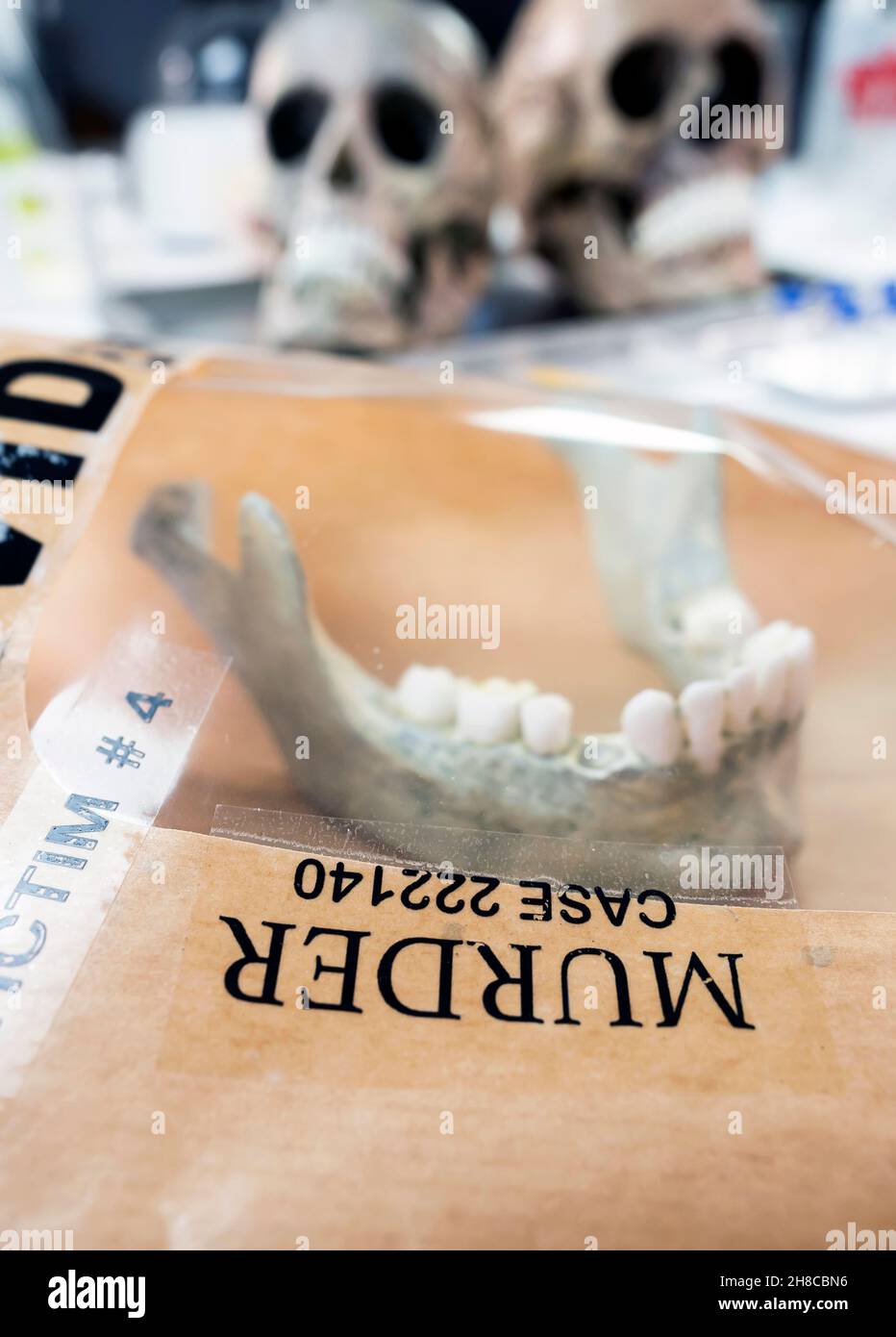 Evidence bag with human lower jaw in forensic lab murder investigation, conceptual image Stock Photo