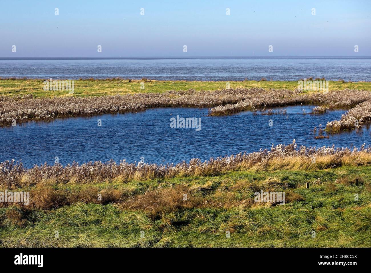 salt marshes and North Sea, Germany, Lower Saxony, East Frisia, Pilsum Stock Photo