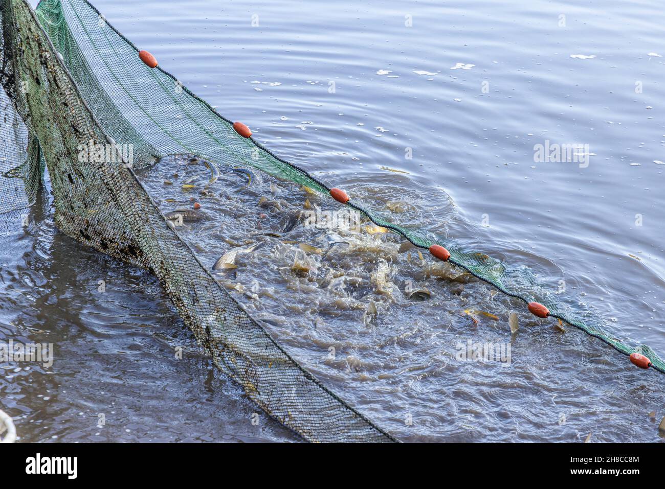 A group of Filipino fishermen haul their seine fishing net to shore at  BayBay Beach in Roxas City, Panay Island, Philippines Stock Photo - Alamy