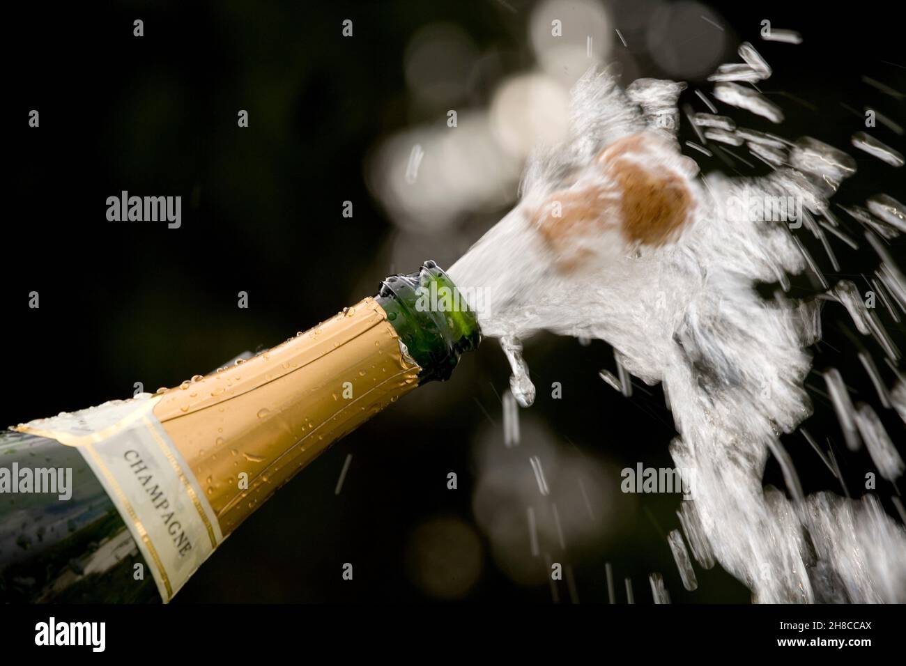 Sparkling wine bottle, champagne cork pop Stock Photo