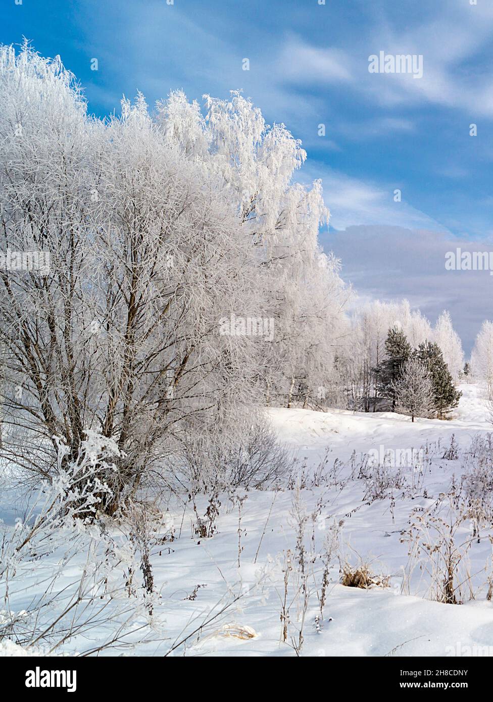 The Rural landscape at winter length of time on background blue sky with cloud. The Natural background. Beauty in nature Stock Photo