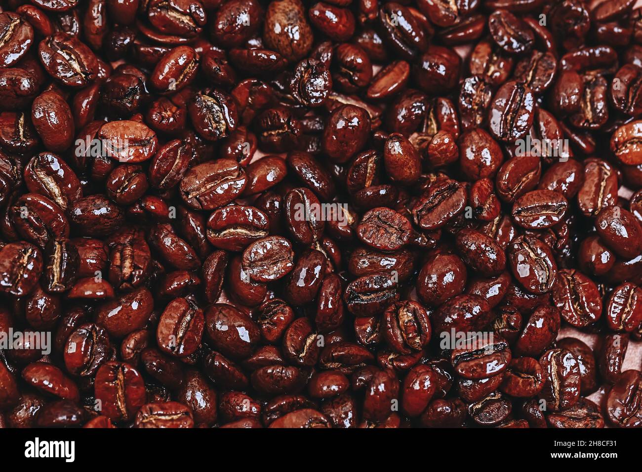 roasted coffee bean background, top view. Flat style and place for text. Stock Photo