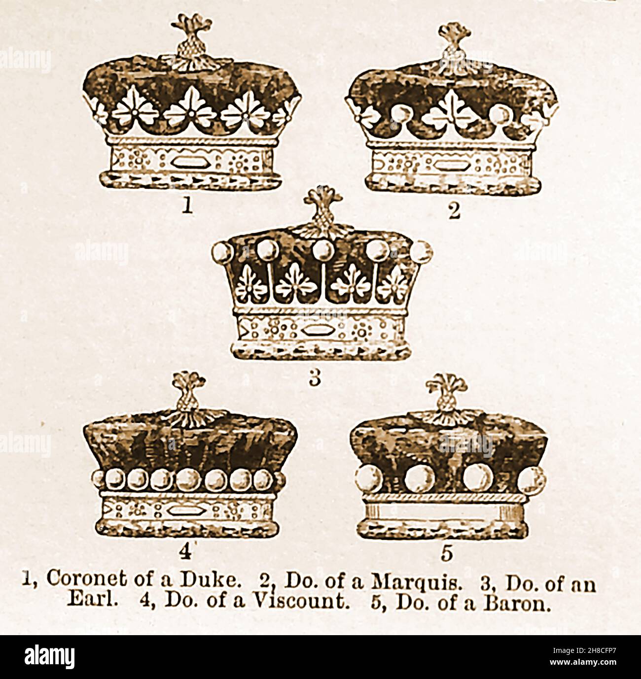 A 19th century illustrations showing various crowns / coronets of the  British Empire. Duke, Marquis,Earl,Viscount and Baron Stock Photo - Alamy