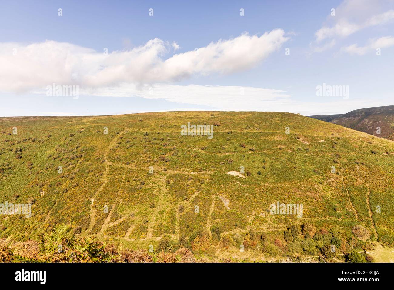 Footpaths on the steep hillsides of Carding Mill Valley, Long Mynd, Shropshire Hills, England Area of Natural Beauty, Stock Photo