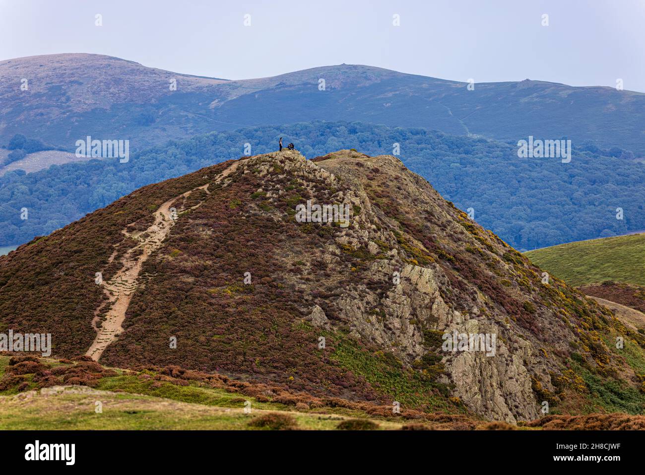 People on top of a purple heather covered  rocky outcrop along the Bur Way, Shropshire Hills area of natural beauty, England Stock Photo