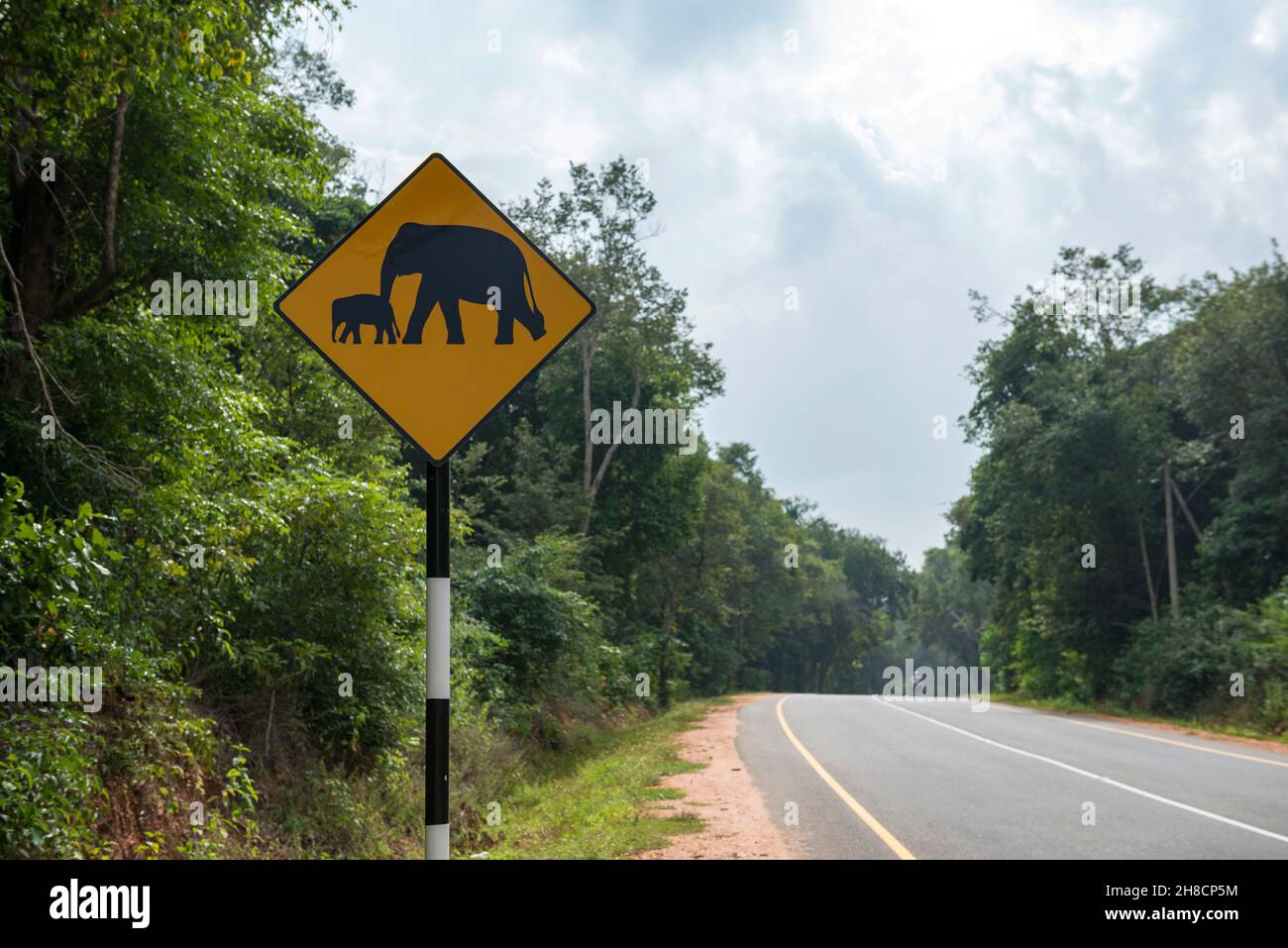 Sri Lanka, Northern Province, Province du Nord, Nördliche Provinz, panneaux de signalisation, Verkehrszeichen, traffic signs, road sign, éléphant, Ele Stock Photo