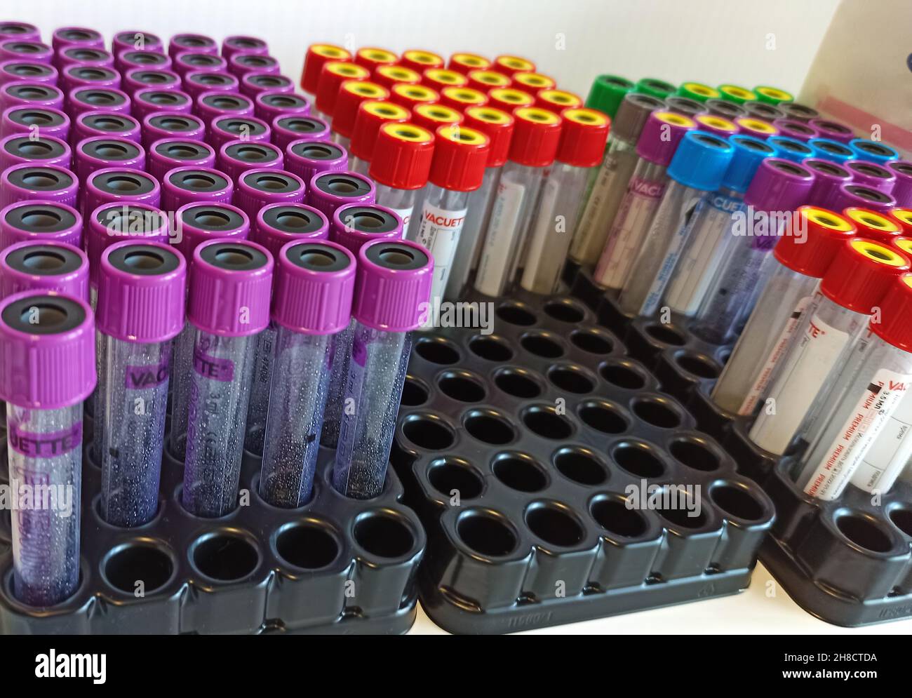 Vacutainer blood collection tube hires stock photography and images