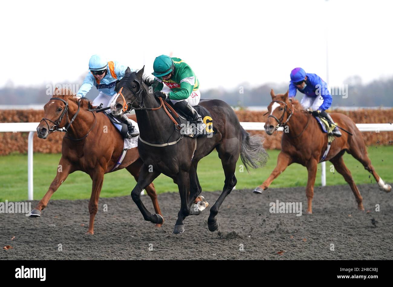 Havana Goldrush ridden by jockey Tom Marquand (centre) wins the Unibet Extra Place Offers Every Day Restricted Novice Stakes with Dubai Immo ridden by jockey Hollie Doyle (left) second at Kempton Park racecourse, Surrey. Picture date: Monday November 29, 2021. Stock Photo