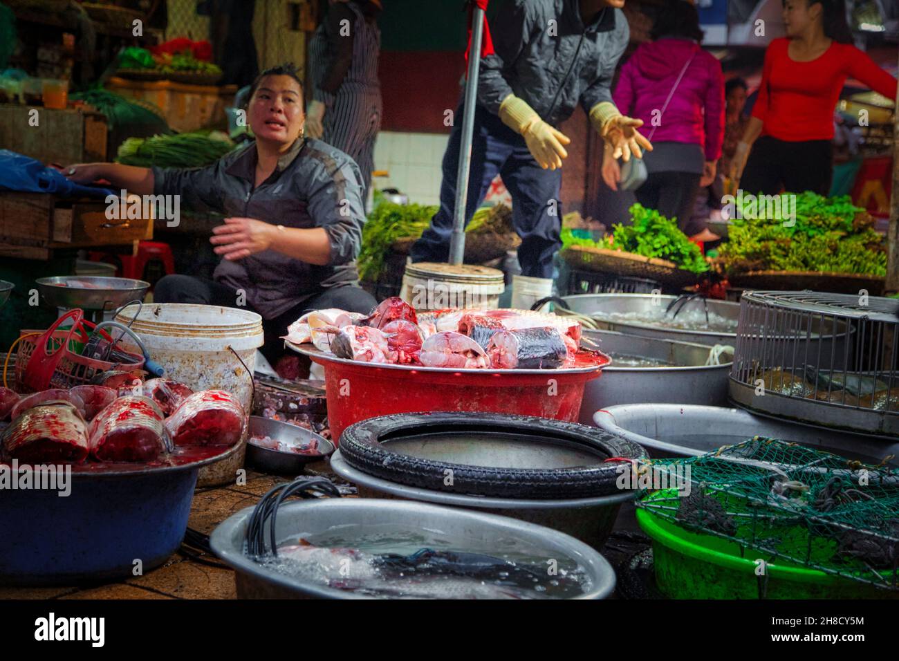 Fischverkauf in Vietnam Stock Photo