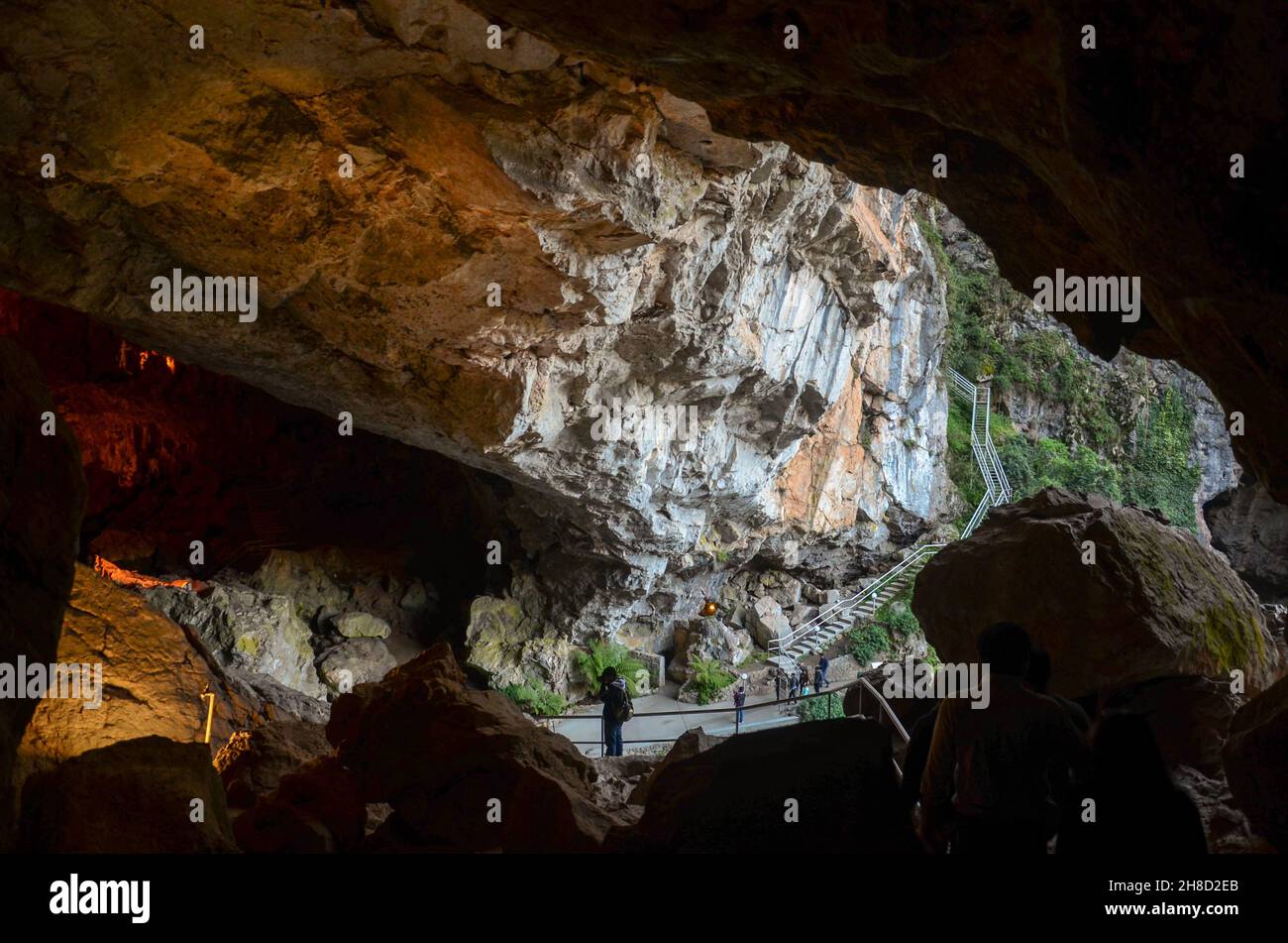 Grand entrance to the Jenolan Caves surrounded by tropical plants and illuminated with