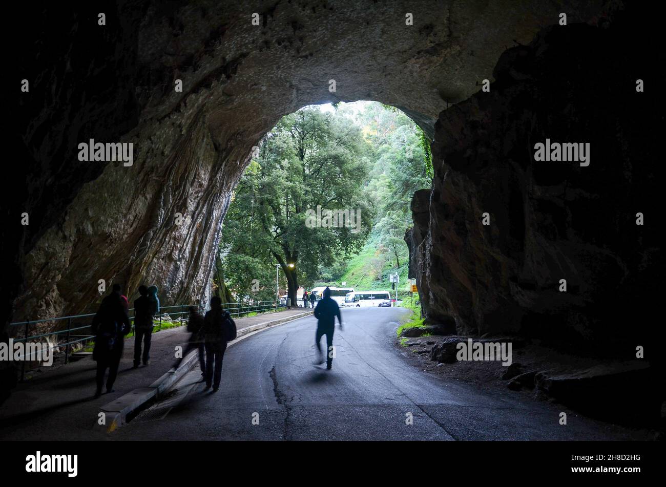 Grand entrance to the Jenolan Caves surrounded by tropical plants and illuminated with