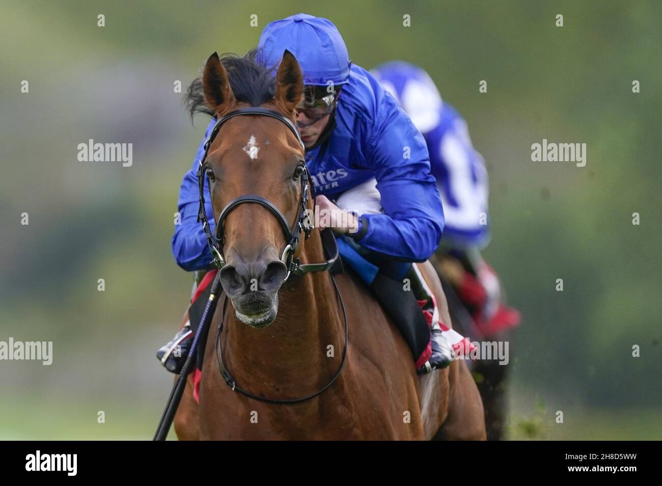File photo dated 20-05-2021 of Siskany ridden by jockey William Buick. Siskany appears to hold all the aces in the Unibet Wild Flower Stakes at Kempton. Issue date: Monday November 29, 2021. Stock Photo