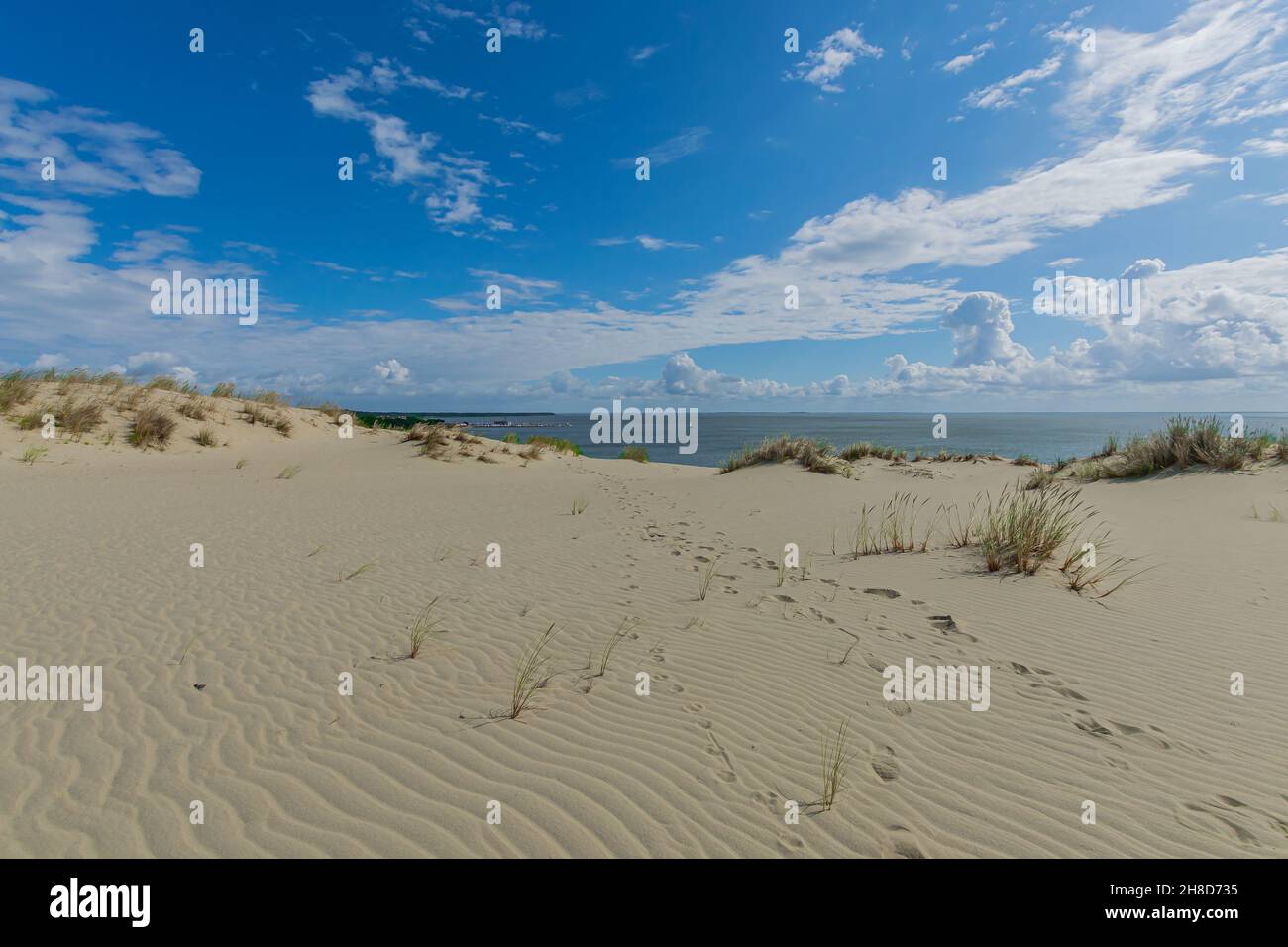 Panorama of dunes, Nida - Curonian Spit and Curonian Lagoon, Baltic dunes. UNESCO Heritage. Nida is located on the Curonian Spit. Stock Photo