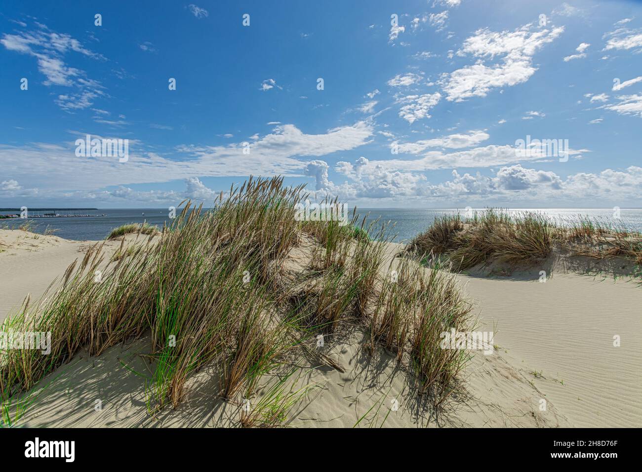 Panorama of dunes, Nida - Curonian Spit and Curonian Lagoon, Baltic dunes. UNESCO Heritage. Nida is located on the Curonian Spit. Stock Photo