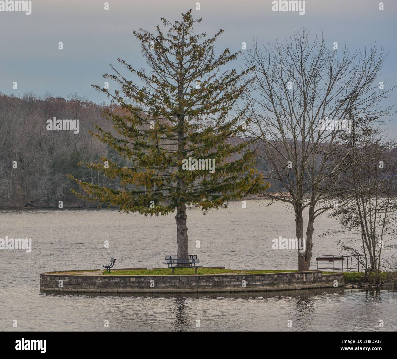 The forest view from Pinchot Lake in Gifford Pinchot State Park