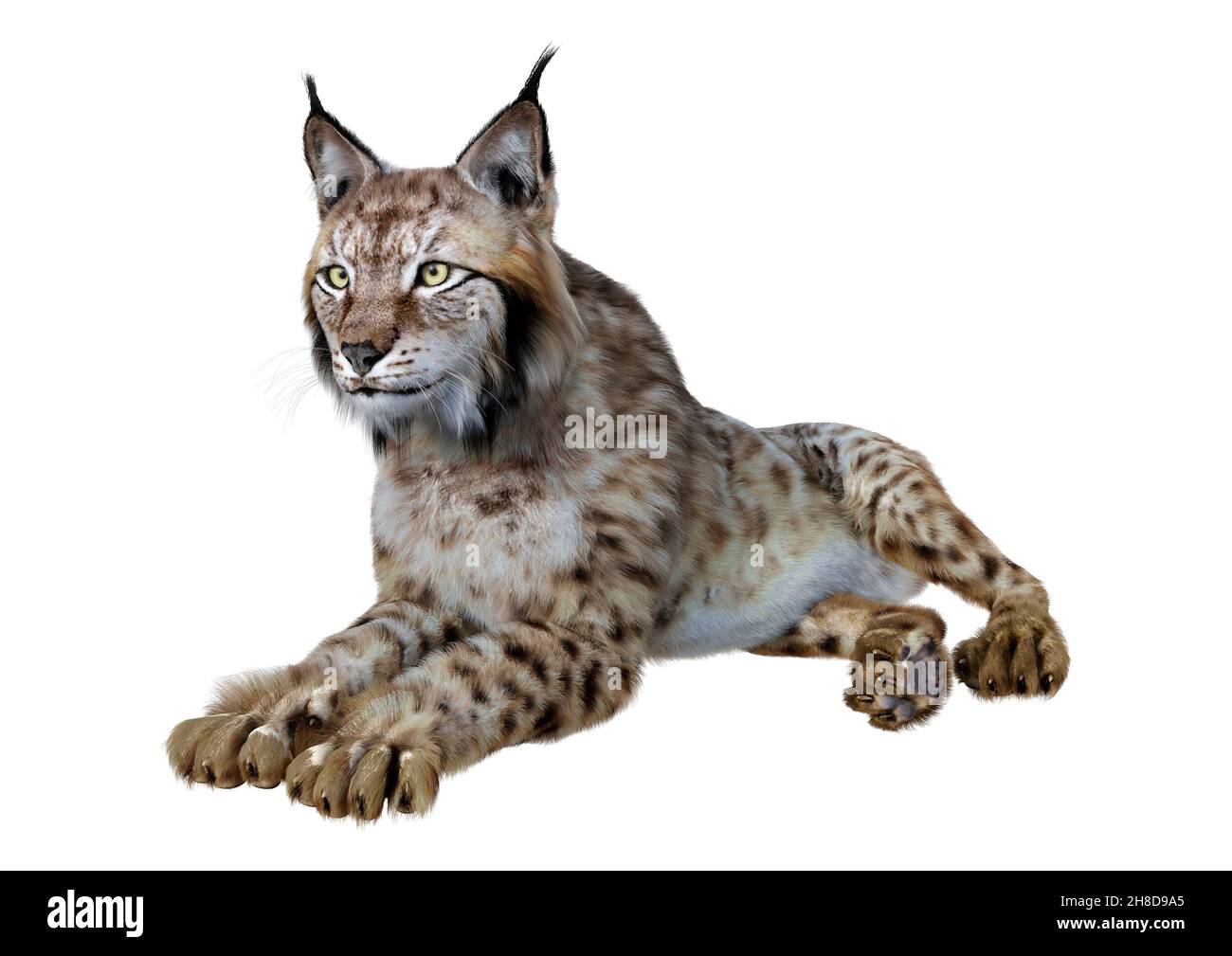 35,361 Lynx Cat Images, Stock Photos, 3D objects, & Vectors
