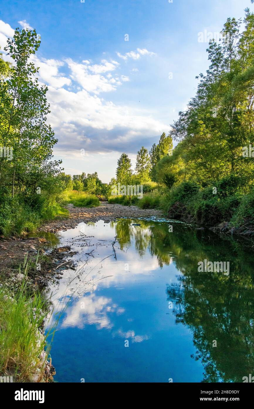 Vertical shot of a lake with trees in the background Stock Photo - Alamy