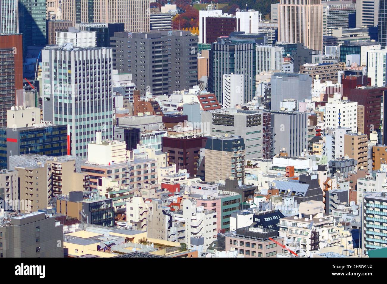 Tokyo skyline. Tokyo city in Japan - cityscape view with Nishishinbashi district of Minato ward. Stock Photo
