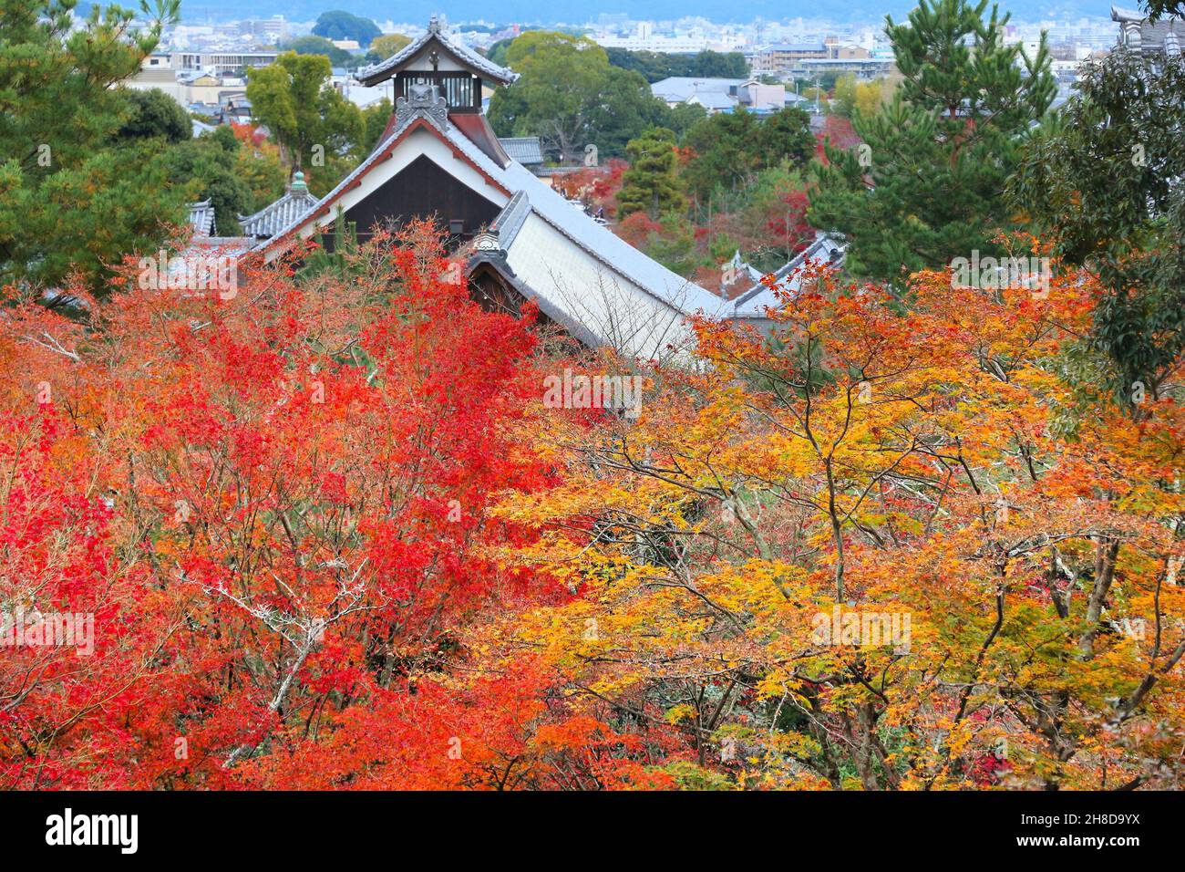 autumn-in-kyoto-japan-tenryuji-gardens-in-arashiyama-autumn-leaves