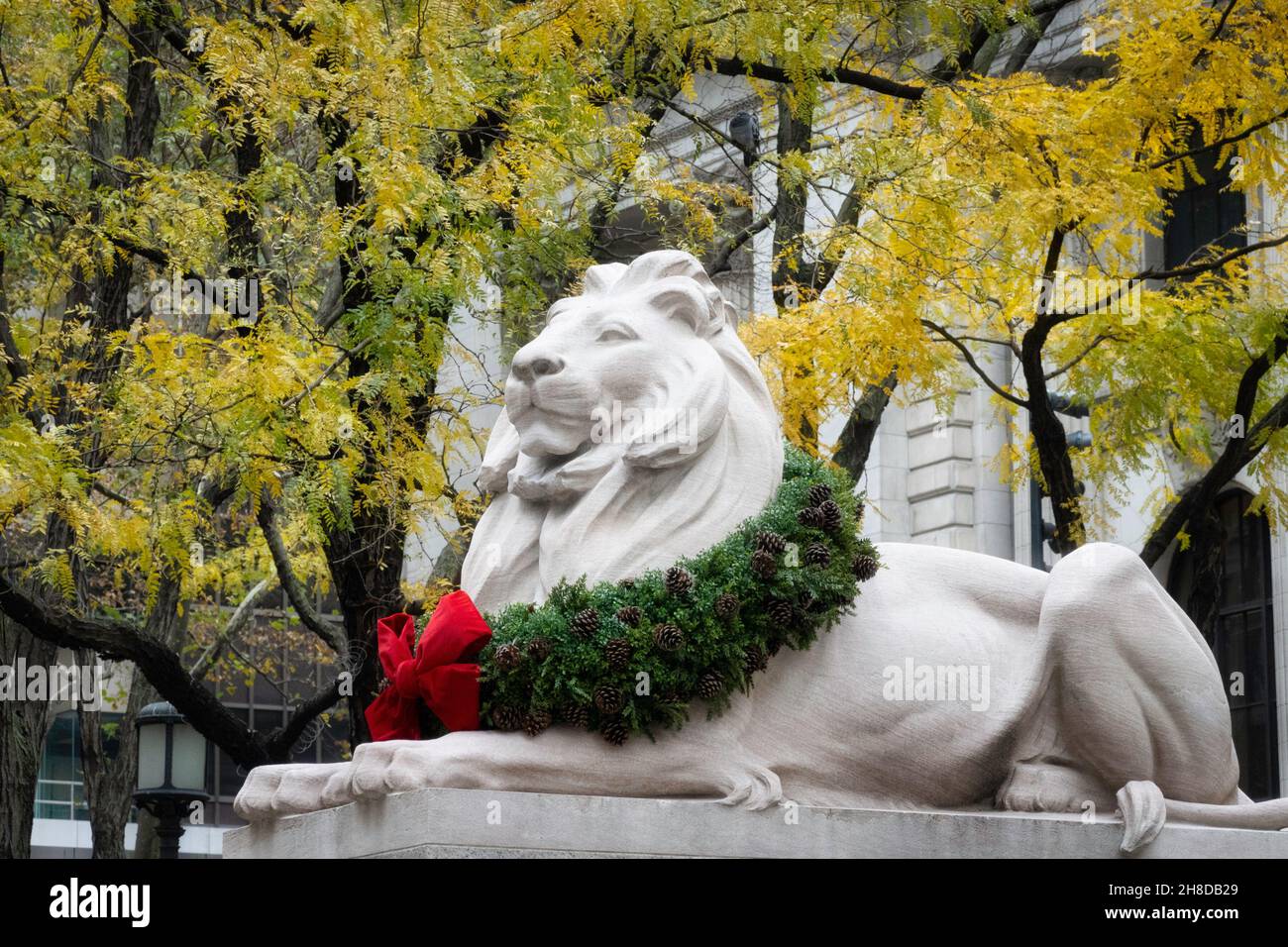 The Lion Statue with Wreath during the Holidays, New York Public