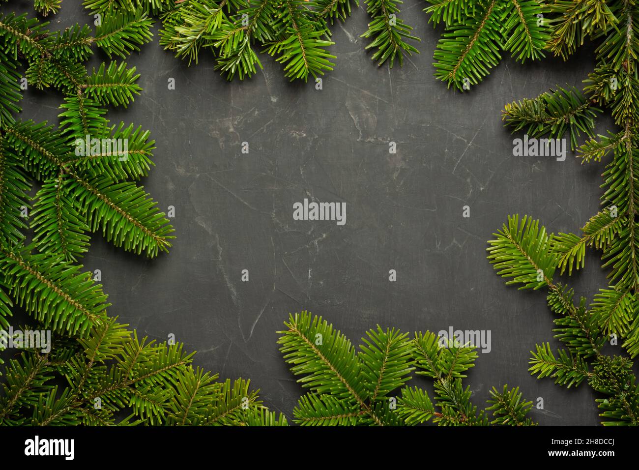Christmas tree background close up Stock
