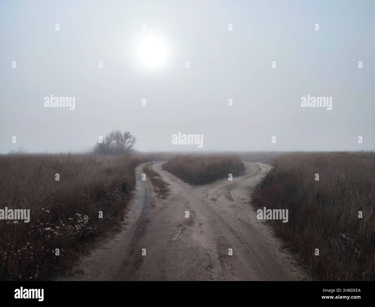 Foggy day on fork roads in autumn gloomy steppe. Choose correct way concept Stock Photo