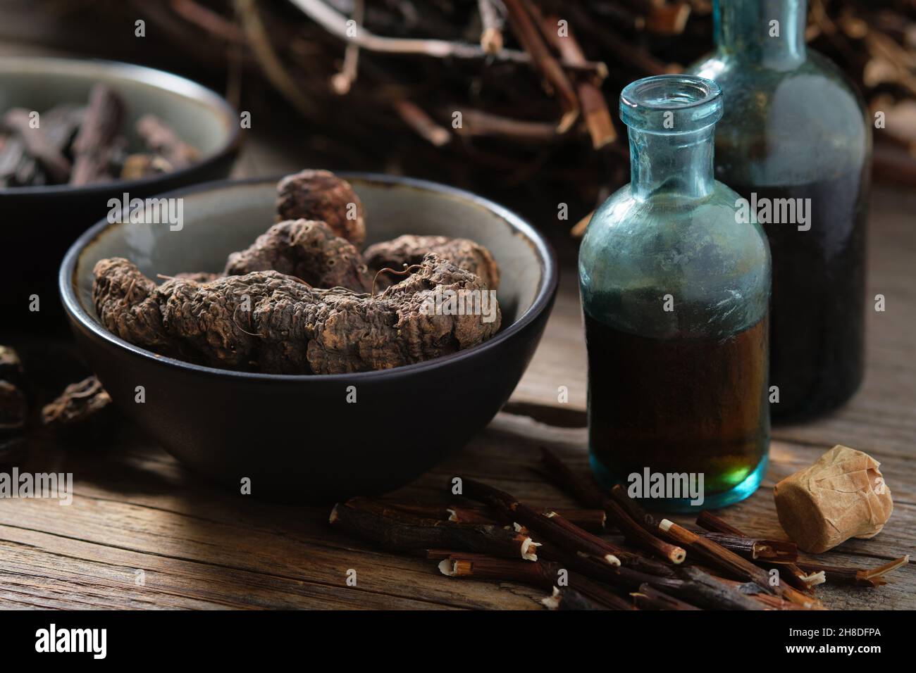 Bottles of infusion or tincture of Persicaria bistorta and Common comfrey roots. Bowl of Bistort, Snakeweed, Snake roots. Dried comfrey officinalis ro Stock Photo