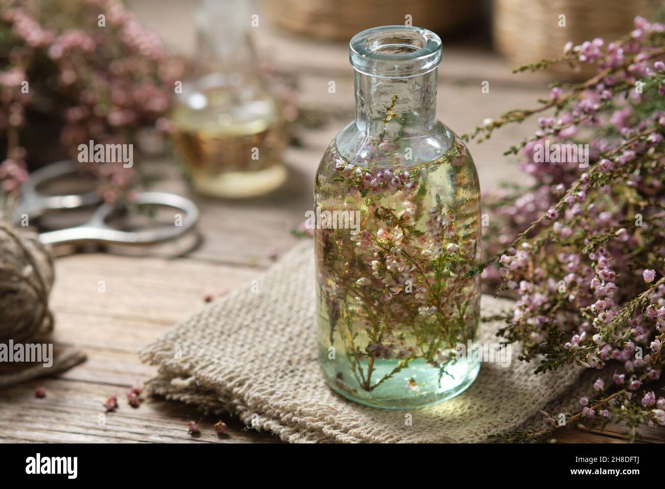 Bottle of heather essential oil or infusion, bunch of Calluna vulgaris flowers on background. Alternative herbal medicine. Stock Photo