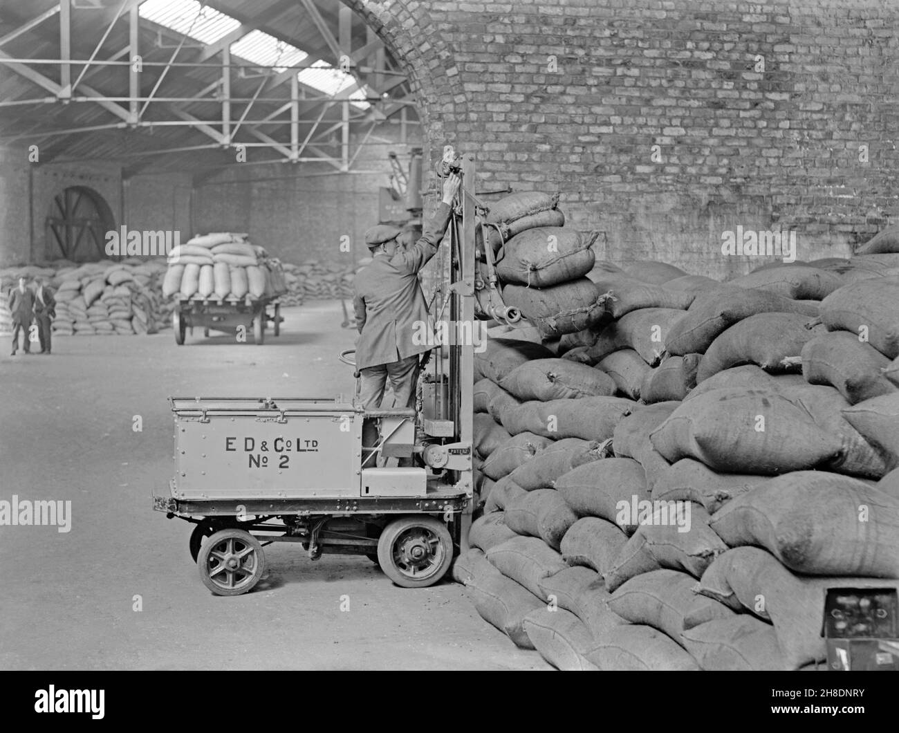 Early battery powered transport – here a forklift truck is being used to transport sacks at E D and Co Ltd, a shipping and warehousing company at Liverpool Docks, Lancashire, England, UK in the early years of the twentieth century. In the early years of motor transport electrically-powered vehicles were a good option compared with petrol driven ones for short-distance commercial transport, such as moving goods around factories. This is taken from an old original glass negative – a vintage 20th century photograph. Stock Photo