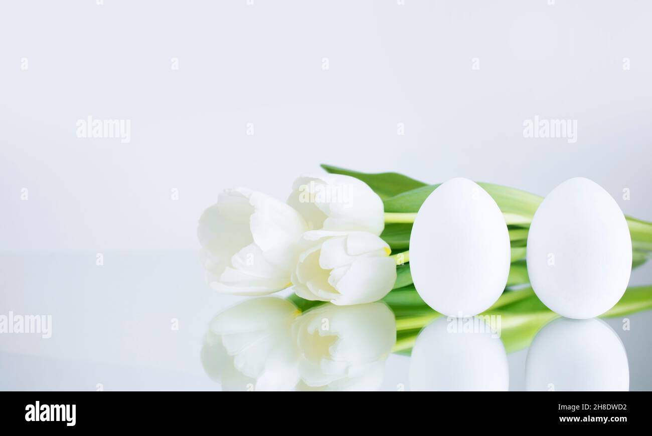 Chicken eggs, painted white on a gray background, are reflected on the mirror surface, next to the bouquet, with white tulips. Creative card with East Stock Photo