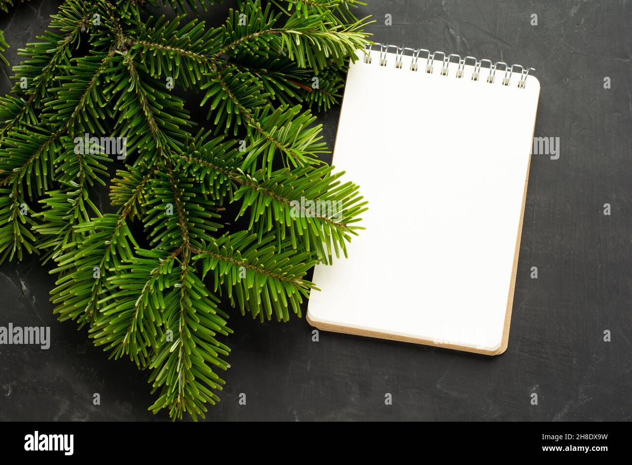 Christmas tree background close up with blank notepad Stock Photo