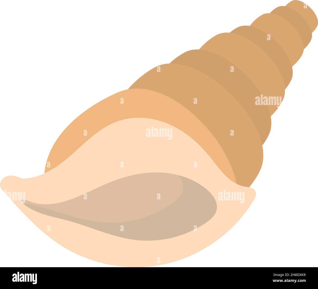 large seashell icon on white background Stock Vector Image & Art - Alamy