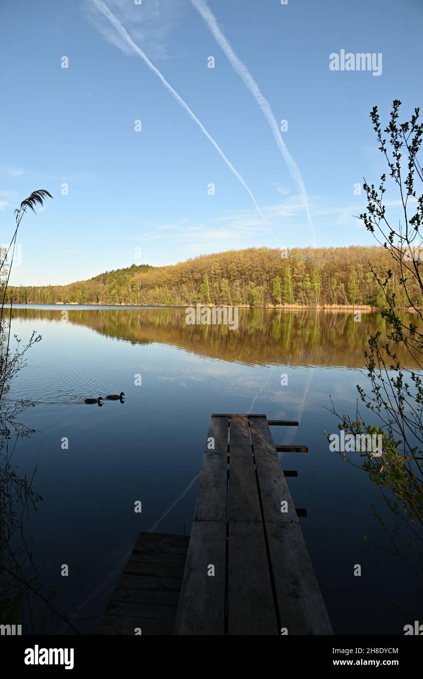 wonderful view on a lake Stock Photo